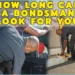 How Long Can A Bondsman Look For You