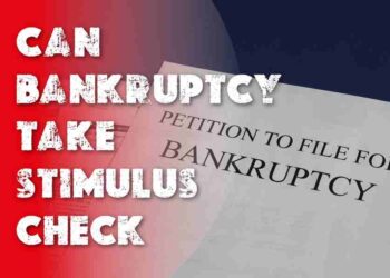 Can Bankruptcy Take Stimulus Check