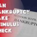 Can Bankruptcy Take Stimulus Check
