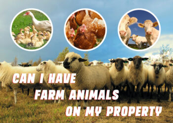 Can I Have Farm Animals On My Property