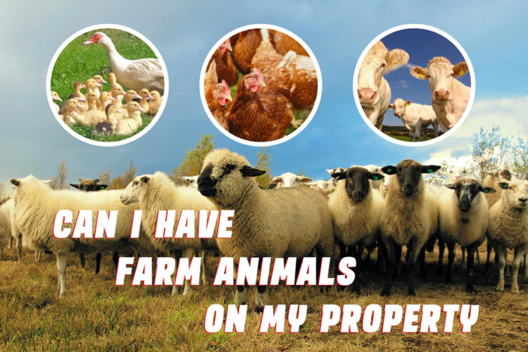 Can I Have Farm Animals On My Property