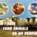 Can I Have Farm Animals On My Property