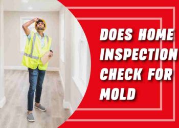 Does Home Inspection Check For Mold