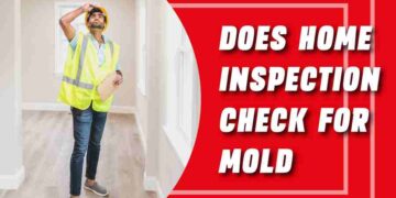 Does Home Inspection Check For Mold