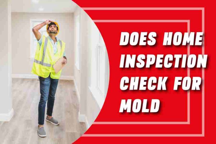 Does Home Inspection Check For Mold