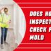 Does Home Inspection Check For Mold