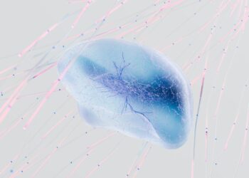 What Types of Brain Injuries Do Car Accidents Cause