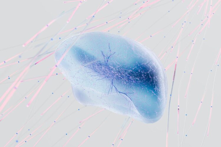 What Types of Brain Injuries Do Car Accidents Cause