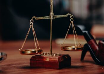 The Role Of Public Health In The Legal System