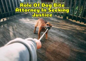 Role Of Dog Bite Attorney In Seeking Justice