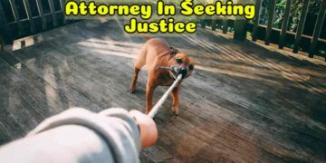 Role Of Dog Bite Attorney In Seeking Justice