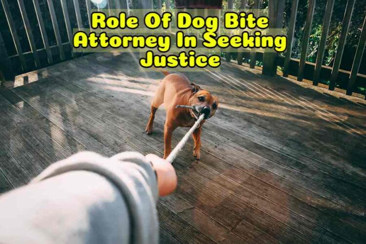 Role Of Dog Bite Attorney In Seeking Justice