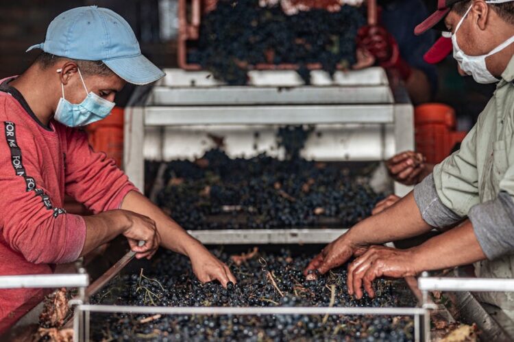 Tips For Navigating The Workers Compensation Claim Process Successfully