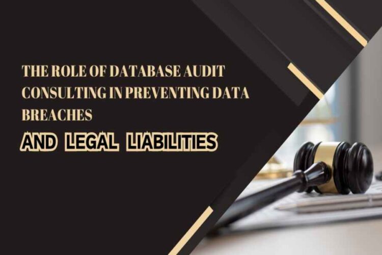 The Role Of Database Audit Consulting In Preventing Data Breaches And Legal Liabilities
