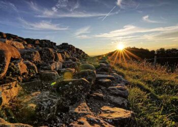 Florida's Sunshine Laws