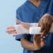 How Much Do Personal Injury Leads Cost In Florida