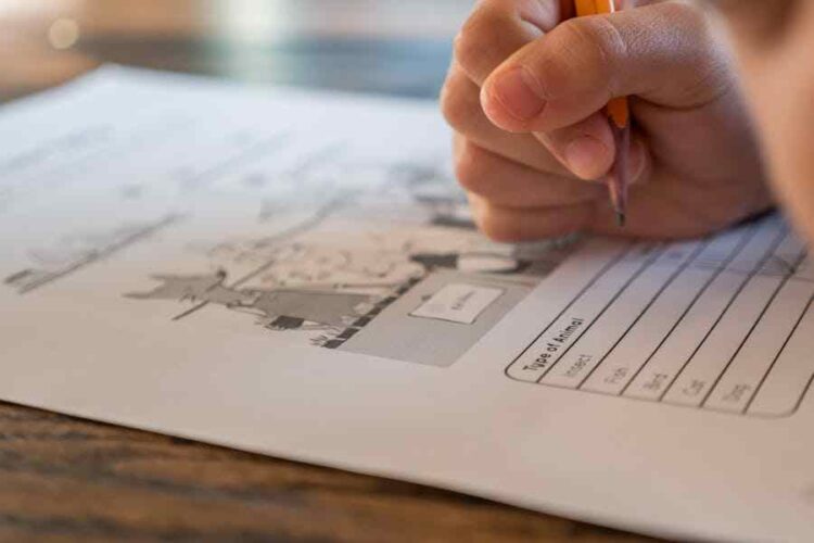 Who Is The Lessor And Lessee? Key Roles Explained