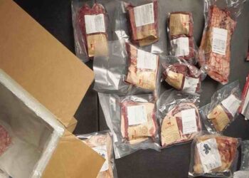 Florida's Controversial New Law Banning Lab-Grown Meat