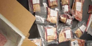 Florida's Controversial New Law Banning Lab-Grown Meat