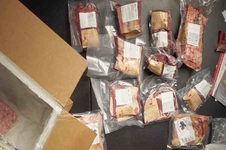 Florida's Controversial New Law Banning Lab-Grown Meat