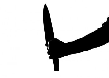 What Type Of Lawyer Deals With Murderers