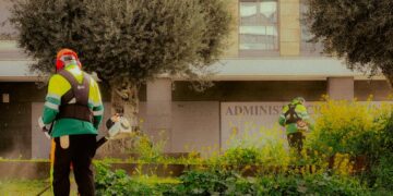 How Workers Comp Scams Hurt Other Workers