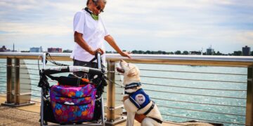 4 Legal Myths About Service Animal Accessibility