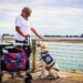 4 Legal Myths About Service Animal Accessibility