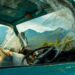 Steps To Take Immediately After A Car Accident in Fremont