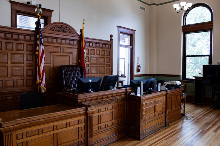 The Differences Between US and UK Legal Systems - American Judicial System