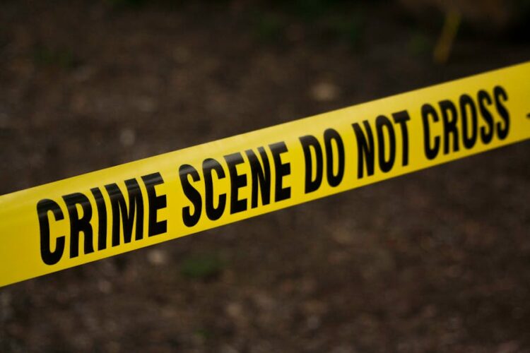 Exploring the Various Types of Crime: A Comprehensive Overview