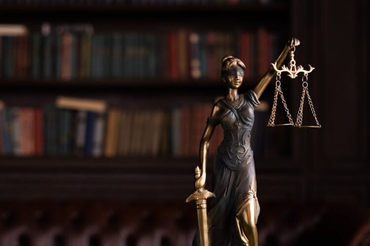 The Role of a Traumatic Brain Injury Lawyers in Your Recovery Process