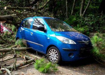 How Forensic Evidence Shapes Outcomes in Vehicle Crash Trials