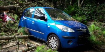 How Forensic Evidence Shapes Outcomes in Vehicle Crash Trials