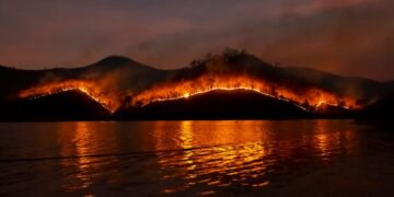 Statute of Limitations for Wildfire Claims