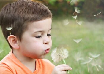 Are You Ready For Your Child Custody Court Appearance?