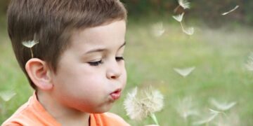 Are You Ready For Your Child Custody Court Appearance?