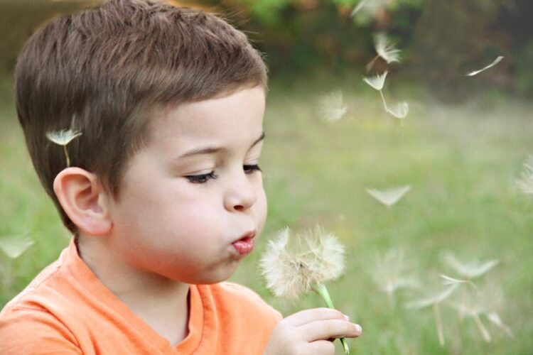 Are You Ready For Your Child Custody Court Appearance?