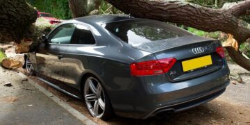 What to Do Immediately After a Car Accident: A Lawyer’s Guide to Protecting Your Case