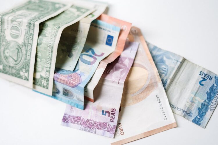 The Cost of Internal Litigation