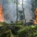 Why Hire Wildfire Lawyers for Property Damage and Injury Claims