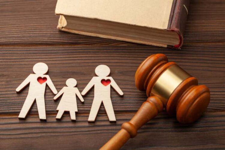 Exploring the Different Types of Custody in Family Law