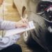 How to Write a Demand Letter for a Car Accident Claim
