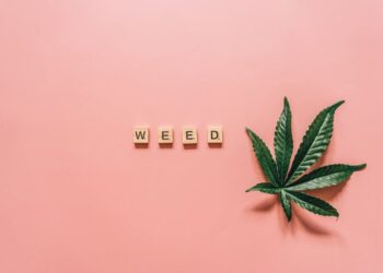 Is Weed Legal in Nevada?