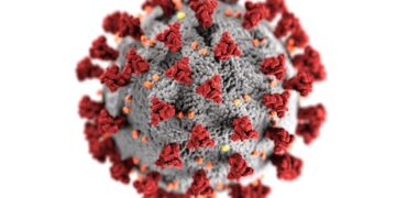 can i sue someone for giving me herpes