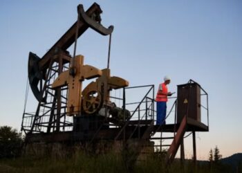 How Can You Buy Mineral Rights in Texas Without Overpaying?