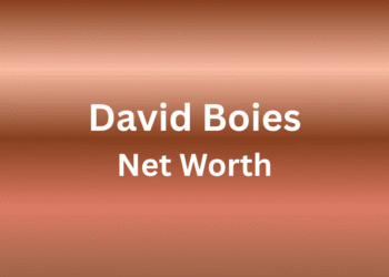 david boies net worth