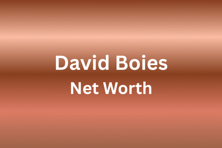 david boies net worth