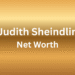 judith sheindlin net worth