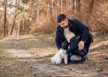 Who Gets the Dog in a Divorce?